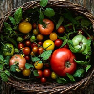 A Basket of Tomatoes - Image