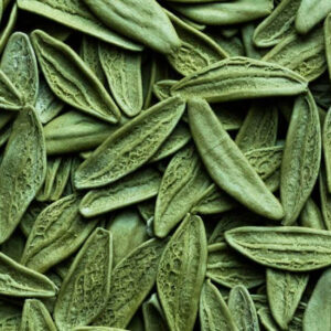 A Pile of Green Leaves - Image