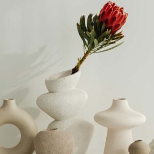 A Red Flower in the Vase - Image
