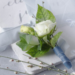 A rose with a Wedding veil - Image