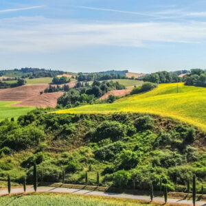 Beautiful Countryside - Image