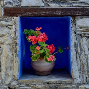 Blue Alcove with Flowers - Image