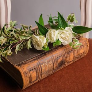 Book on the Chair - Image