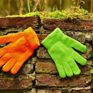 Bright Gloves - Image