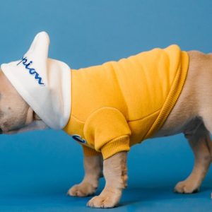 Champion Pug - Image