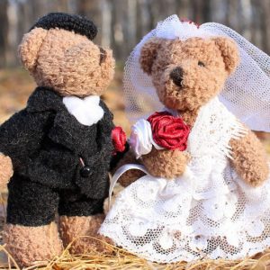 Cute  Teddy Couple - Image