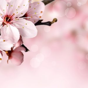 Dedicated To You - Image