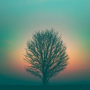 Existence - Image