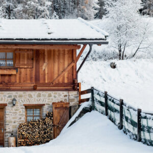Forest House - Image