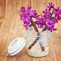 Fragrant Flower - Image