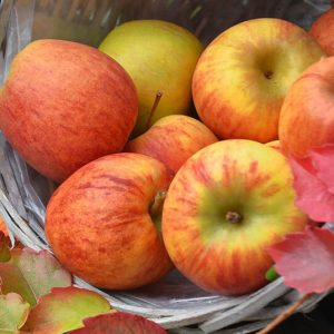 Fresh Apples - Image