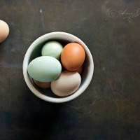 Fresh Eggs - Image