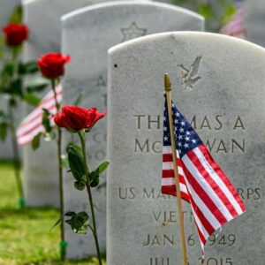 Graveyard with American Flag - Image