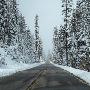 Icy Road - Image