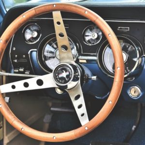 Mustang Dash - Image