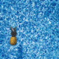 Pineapple in Pool - Image