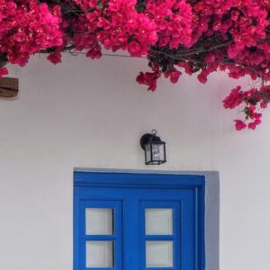 Pink Flowers, Blue Door - Image