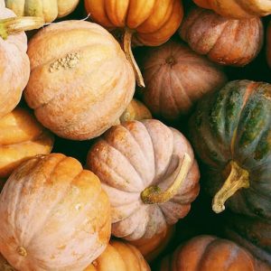 Pumpkin Autumn - Image