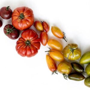 Shades of Tomatoes - Image