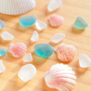 Shellfish - Image