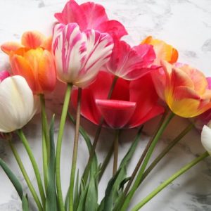 Spring Blooms - Image