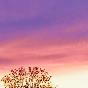 Sunset in the Desert - Image
