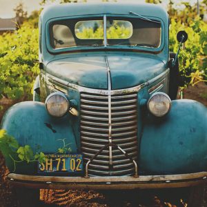 Vintage Vineyard Voyage - Image