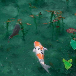 Fishes in the pond - Image