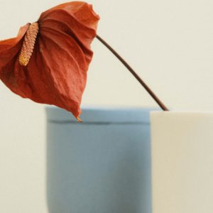 Minimalist Flower Pot - Image