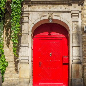 The Red Door - Image